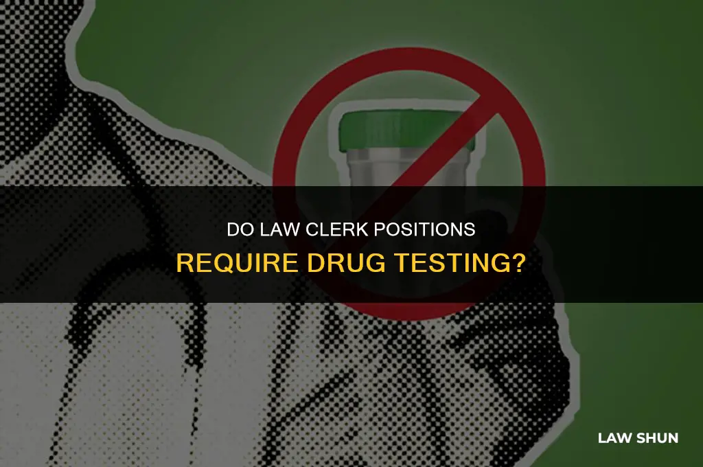 do law clerk positions drug test