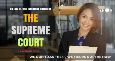 Do Law Clerks Shape Supreme Court Voting Decisions?