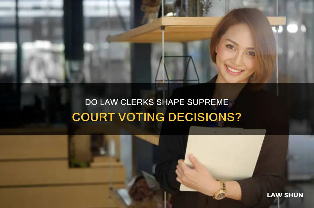 do law clerks influence voting on the supreme court