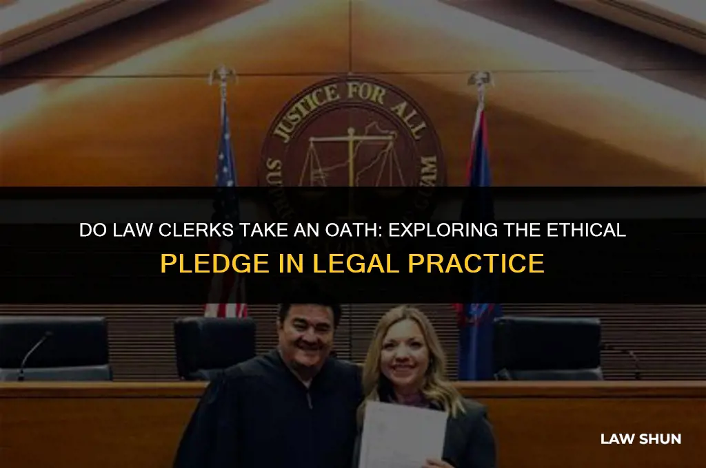 do law clerks take an oath