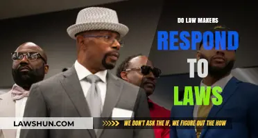 Do Lawmakers Respond to Laws: An In-Depth Analysis