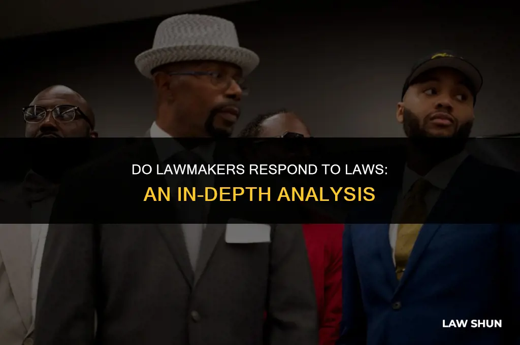 do law makers respond to laws