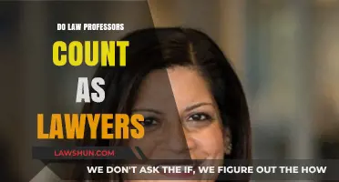 Exploring the Legal Profession: Do Law Professors Qualify as Lawyers?