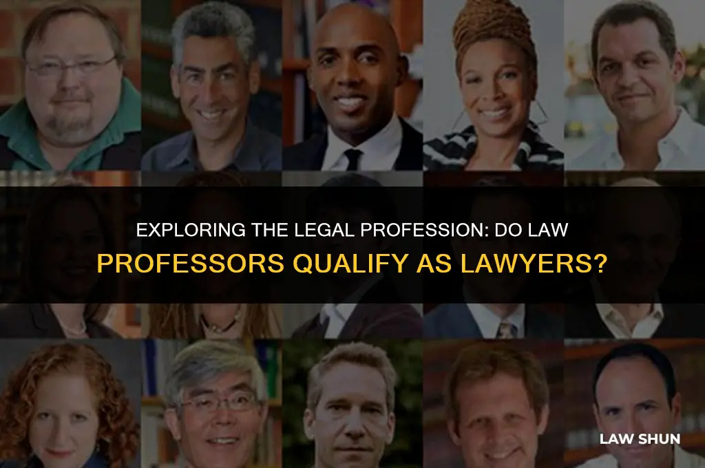 do law professors count as lawyers