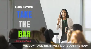 Do Law Professors Need to Take the Bar Exam?