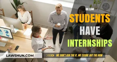 Do Law Students Have Internships? Exploring Opportunities and Benefits