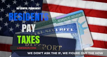 Understanding Taxes: Permanent Residents' Responsibilities