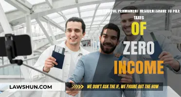 Lawful Permanent Residents: Zero Income, File Taxes?