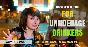 Do Laws Deter Underage Drinking? Exploring Effectiveness and Alternatives