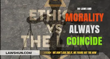 Exploring the Intersection of Legal Statutes and Moral Principles