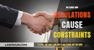 Navigating the Balance: Laws, Regulations, and Constraints in Society
