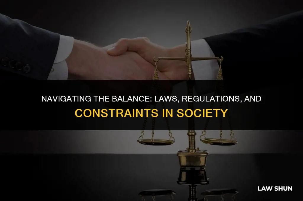 do laws and regulations cause constraints