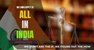 Laws for All? India's Complex Legal System