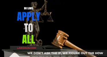 The Law's Equality: Does It Exist?