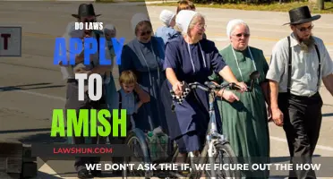 The Amish and the Law: A Complex Relationship