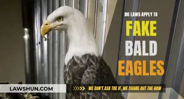 Laws and Fake Bald Eagles: Who's Protected?