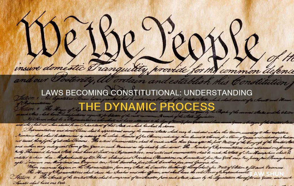 do laws become part of the constitution