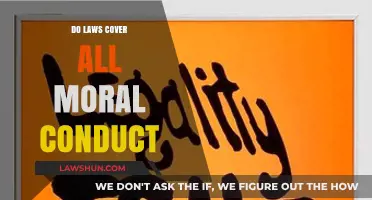 Exploring the Gray Areas: Do Laws Encompass All Moral Conduct?