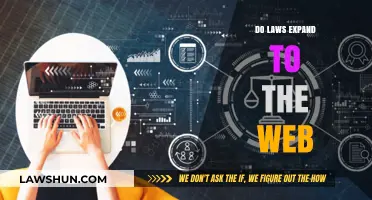 Do Laws Expand to the Web: Navigating the Digital Legal Landscape