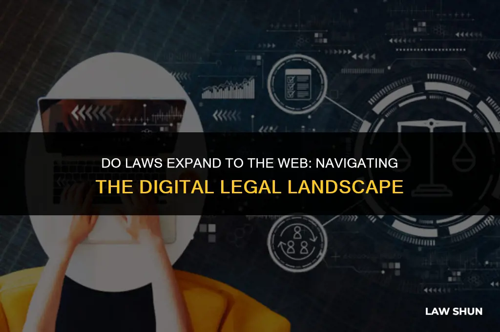 do laws expand to the web