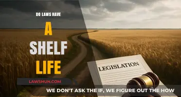 Do Laws Have a Shelf Life: Examining the Longevity of Legislation