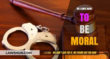 Moral Dilemmas in Legislation: Do Laws Have to Be Moral?
