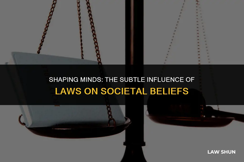 do laws impact society