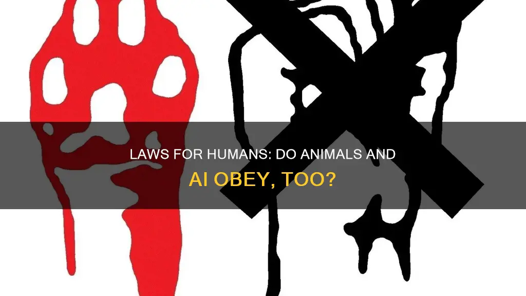 do laws only apply to humans