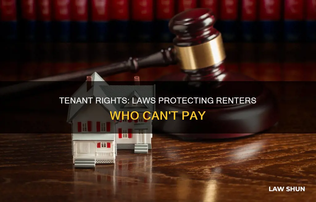 do laws protect tenants if they can no longer pay
