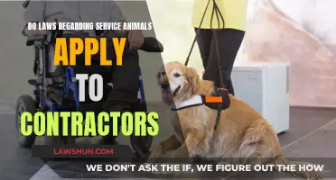 Service Animal Laws: Contractor Compliance Explored