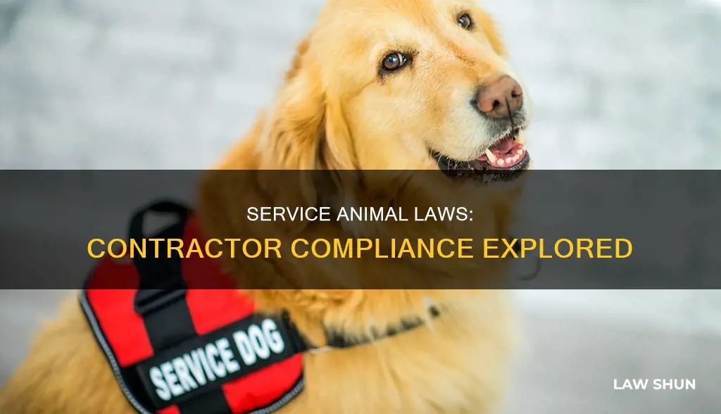 do laws regarding service animals apply to contractors