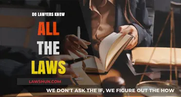 Do Lawyers Know All the Laws? Unraveling the Myth