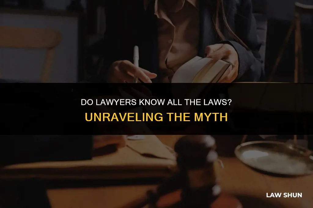 do lawyers know all the laws