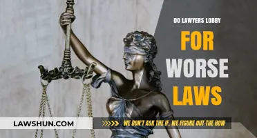 Do Lawyers Lobby for Worse Laws: A Critical Examination