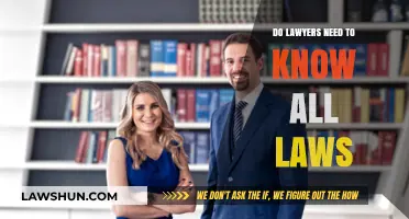 Do Lawyers Need to Know All Laws? Unraveling Legal Expertise