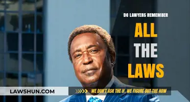 Do Lawyers Remember All the Laws: An In-Depth Exploration
