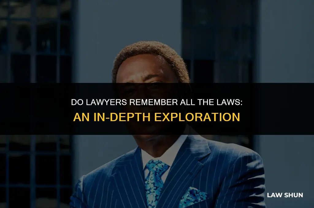 do lawyers remember all the laws