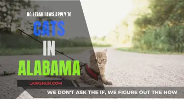 Leash Laws in Alabama: Do Cats Need Them?