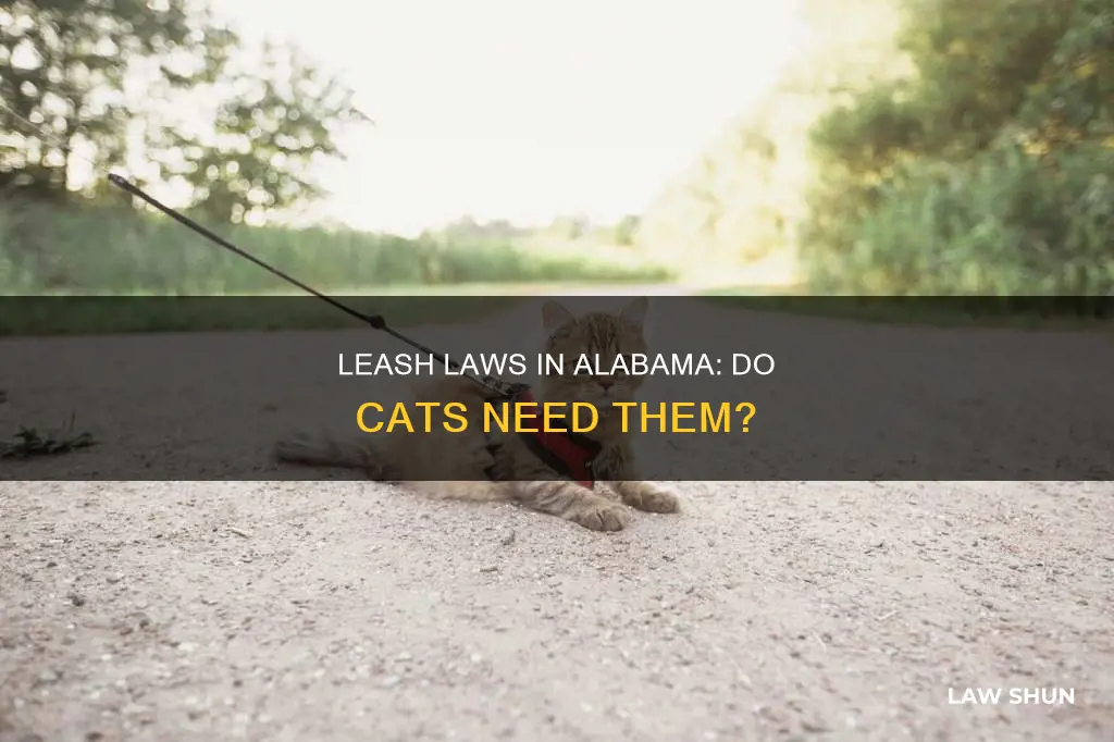 do leash laws apply to cats in alabama