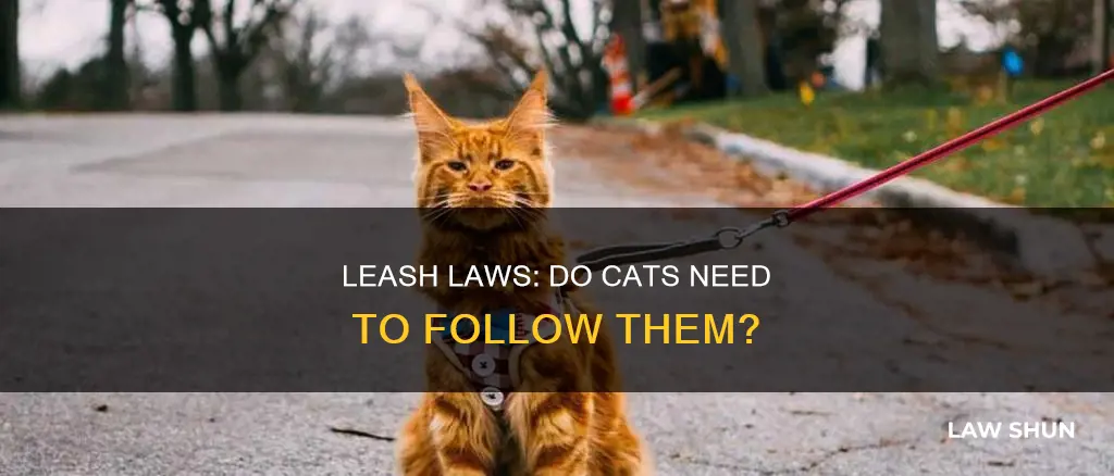 do leash laws apply to cats