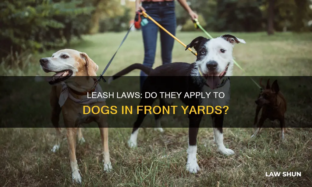 do leash laws apply to dogs in their front yard