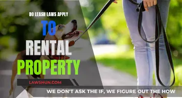 Leash Laws: Rental Property Rules and Regulations Explained