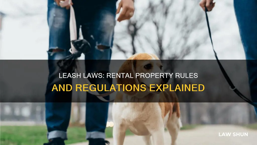 do leash laws apply to rental property