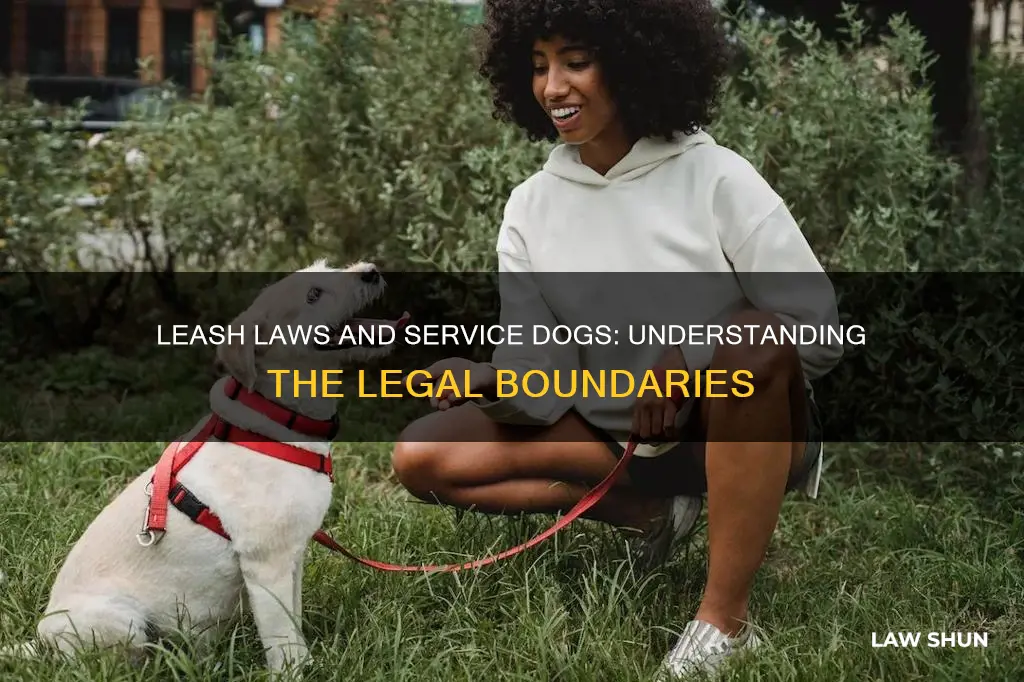 do leash laws apply to service dogs