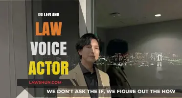 Exploring the Dynamic Voices Behind Levi and Law