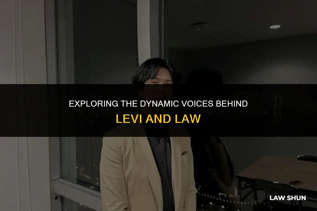 do levi and law voice actor