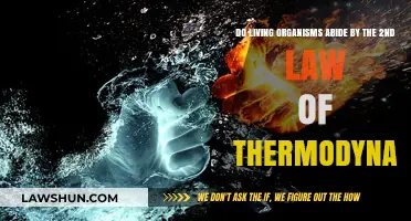 Life's Energy Paradox: Does Biology Defy the Second Law of Thermodynamics?