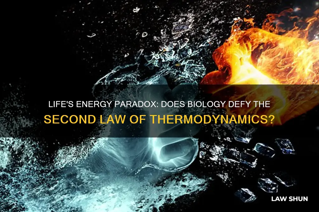 do living organisms abide by the 2nd law of thermodynamics