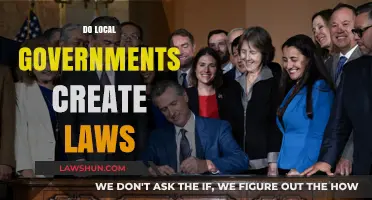 Local Governments: Lawmakers or Law Followers?
