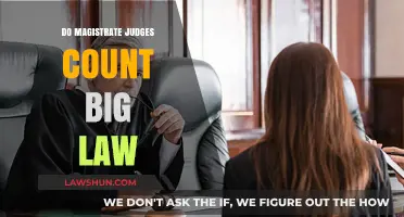 Do Magistrate Judges Count Big Law: A Comprehensive Analysis